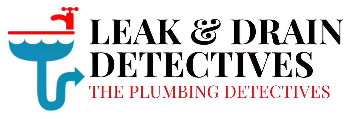 Leak and Drain Detectives