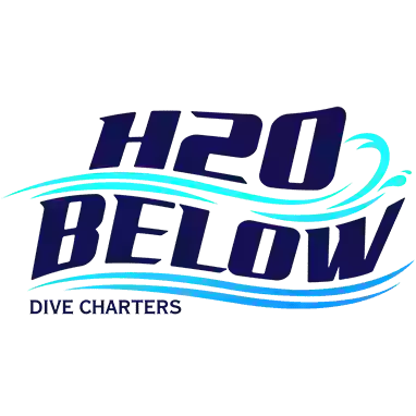 H2O Below Dive Charters