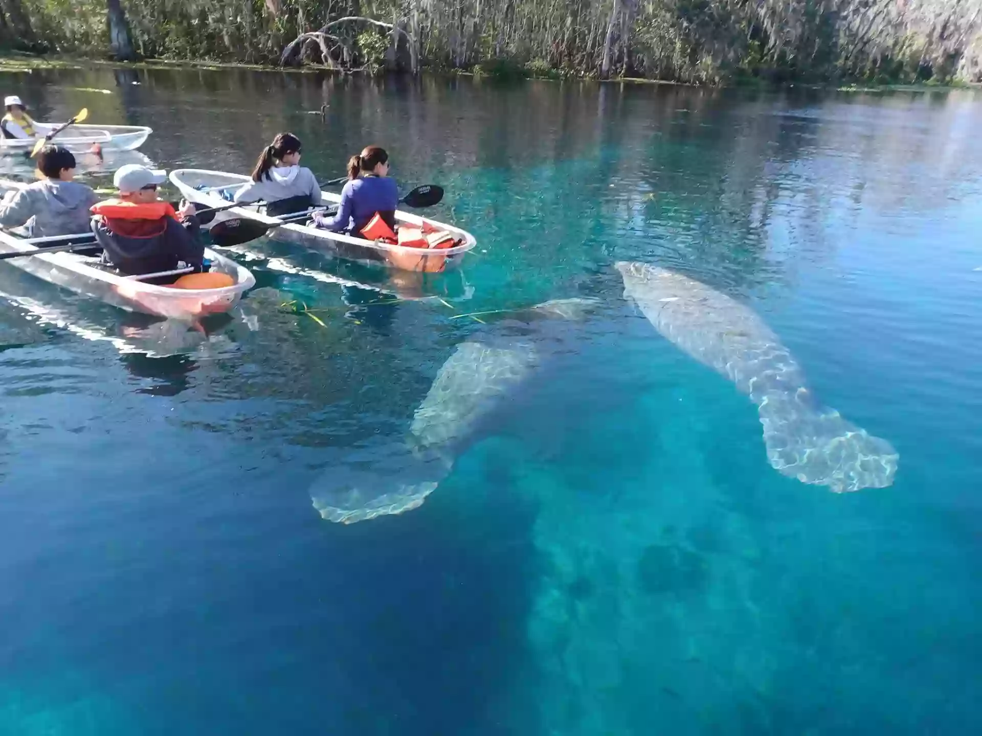 Epic Paddle Adventures