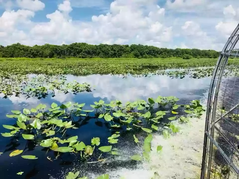 Green airBoat Tour Company LLC