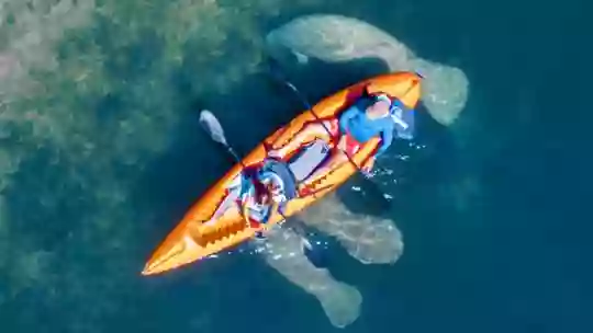 ULTIMATE KAYAK SRQ - Siesta Key Kayaking Tours