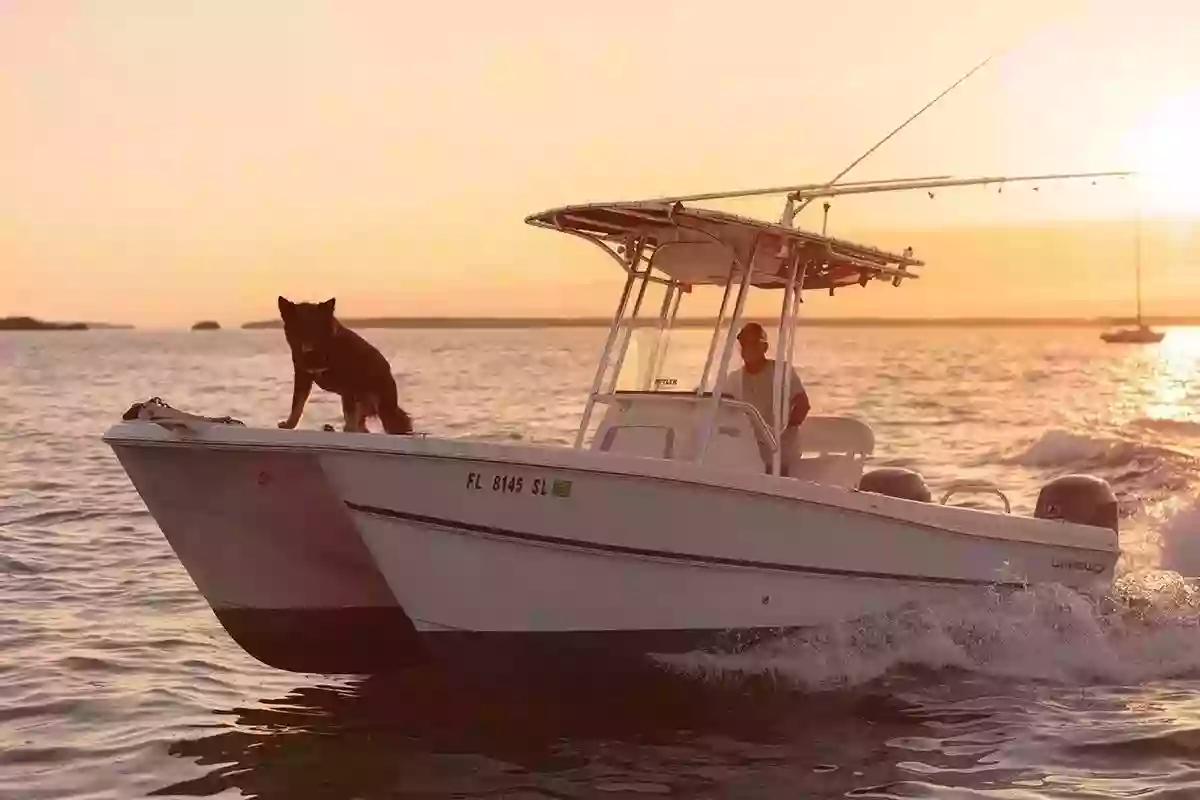 Blu Dog Charters