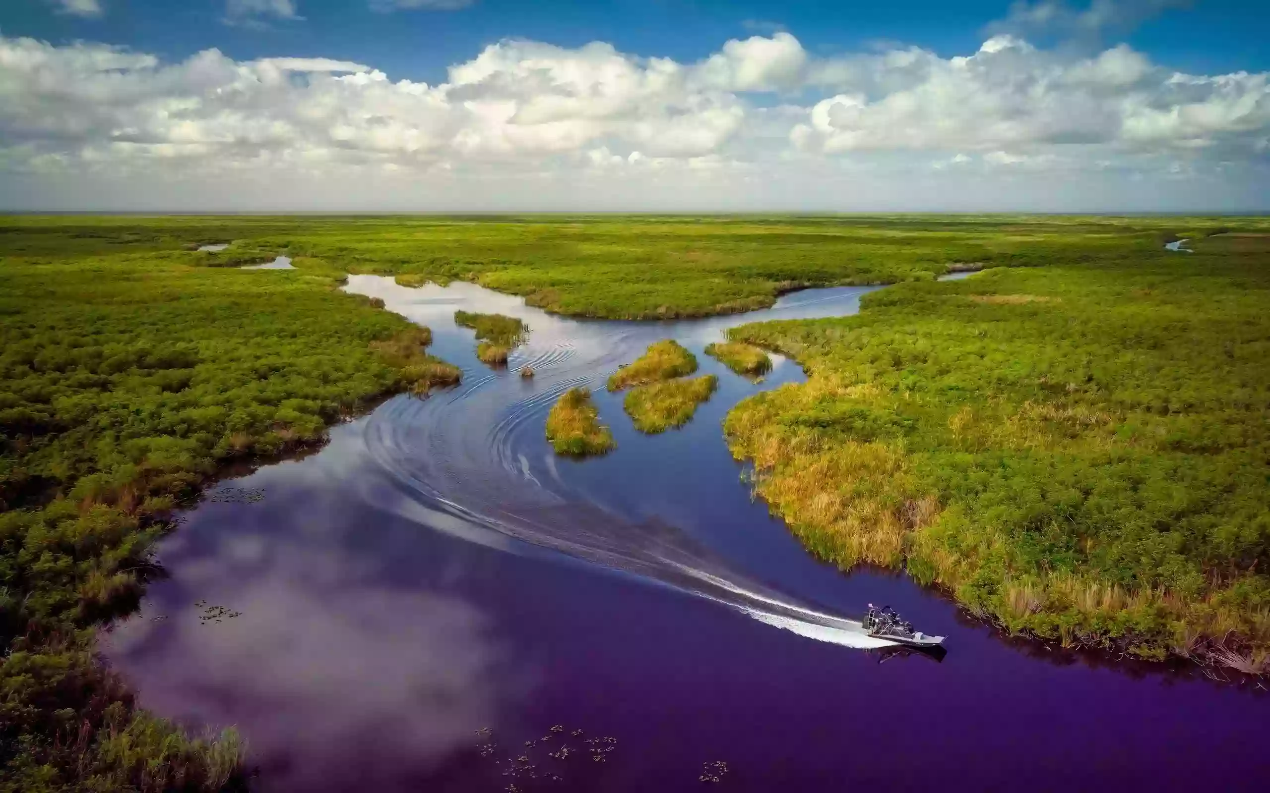 Gator Airboat Rides