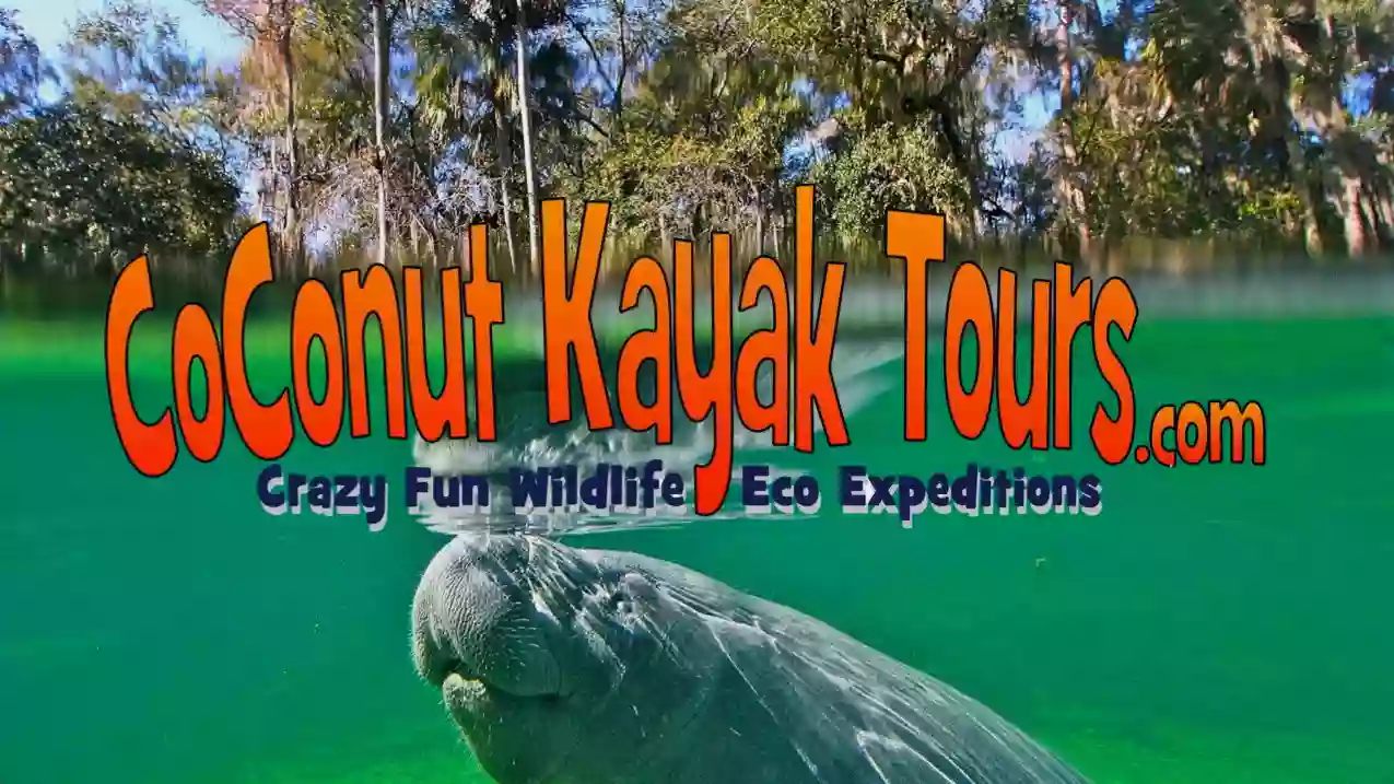 Coconut Kayak Tours