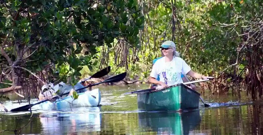 Tarpon Bay Explorers