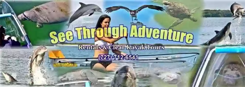 Clear Kayaking Tampa Bay - Tours By See Through Adventures