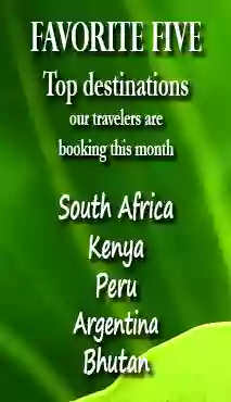 Big Five Tours & Expeditions