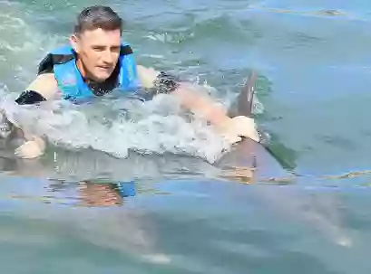 Dolphin World