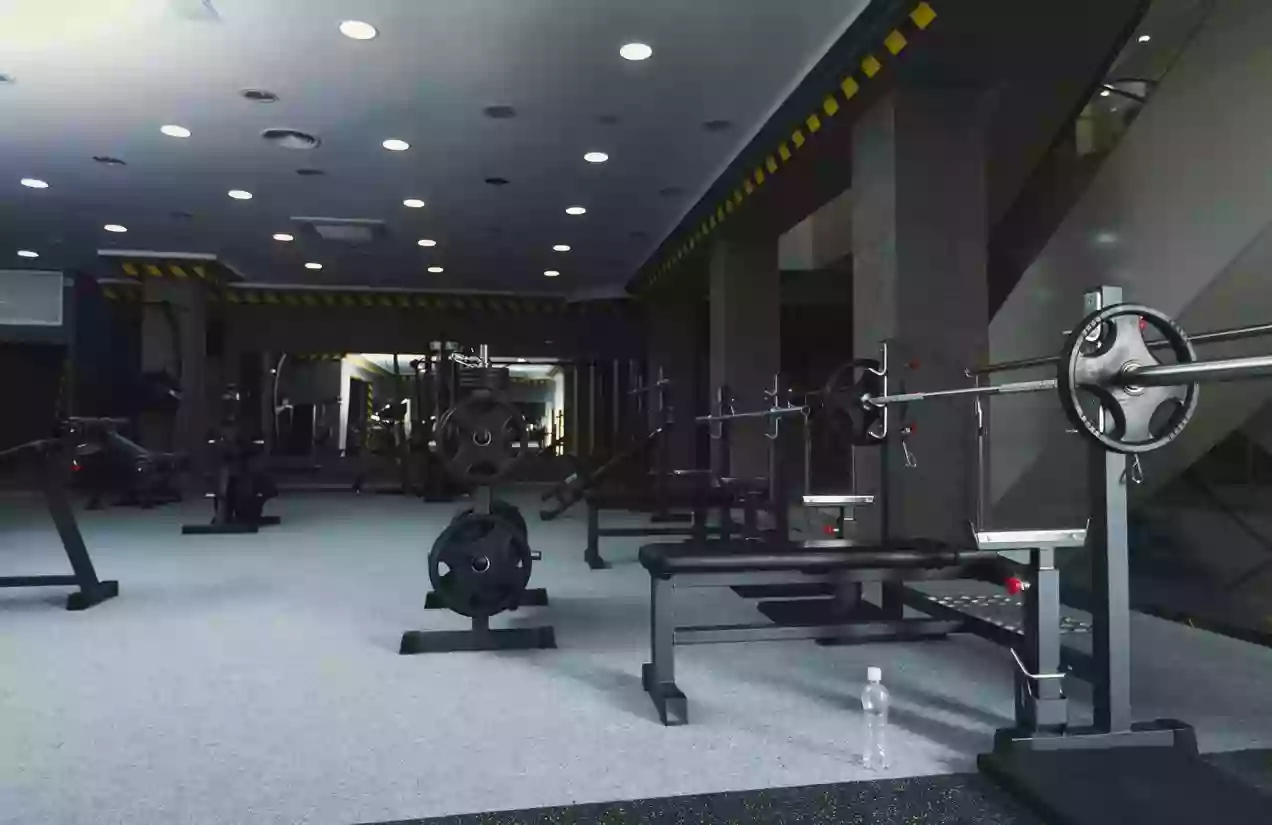 Absolute Fitness Equipment Sales & Service INC