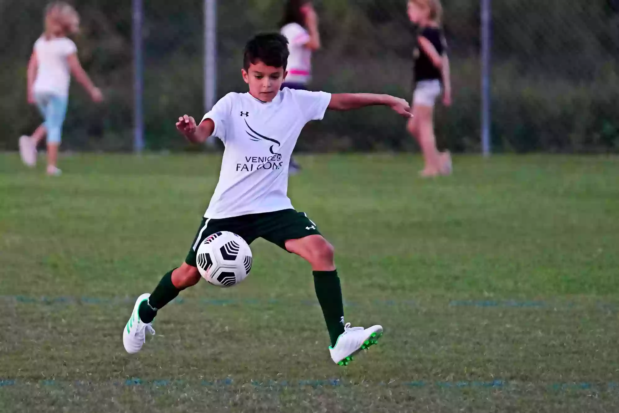 Venice Area Youth Soccer ASC