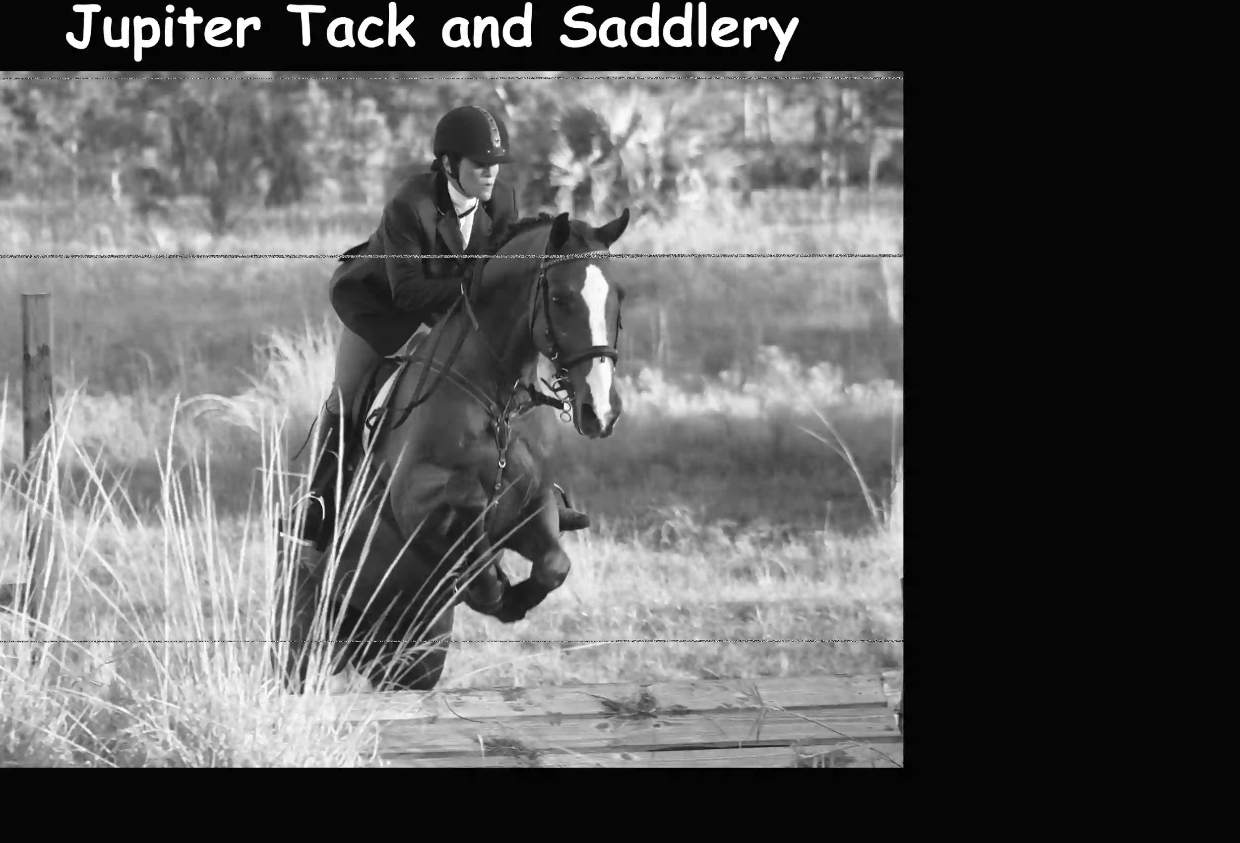 Jupiter Tack & Saddlery