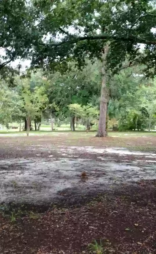 Bay Memorial Park Disc Golf Course