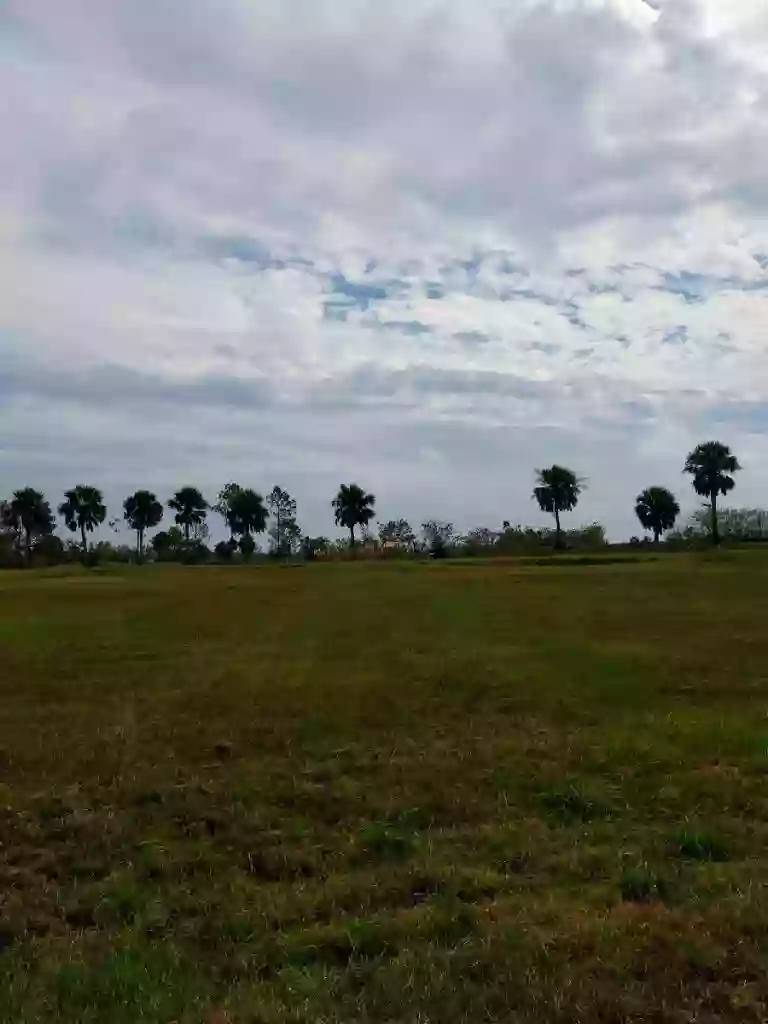 Majette Dunes Disc Golf Course