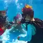 Red Alert Diving