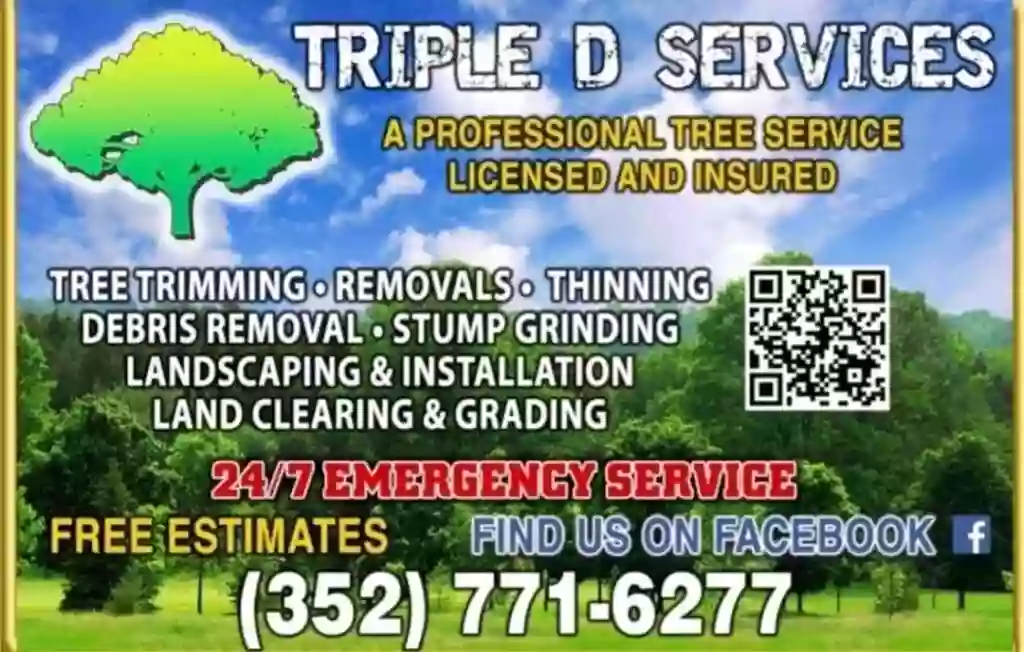 Triple D Services