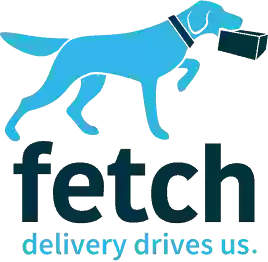 Fetch Package Delivery