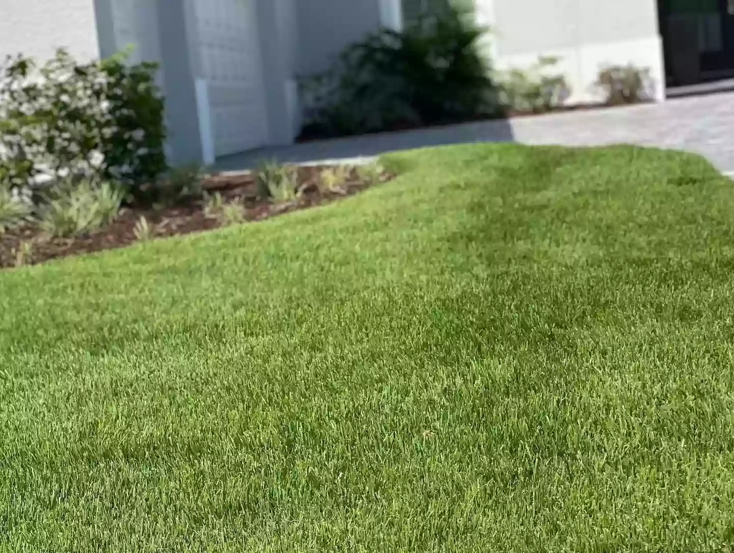 Agriscape Sod Service