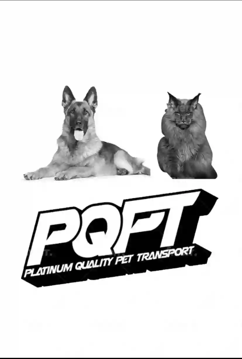 platinum quality pet transport