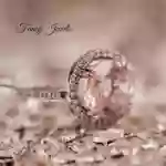 Fancy Jewels Jewelry