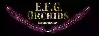 E.F.G. Orchids