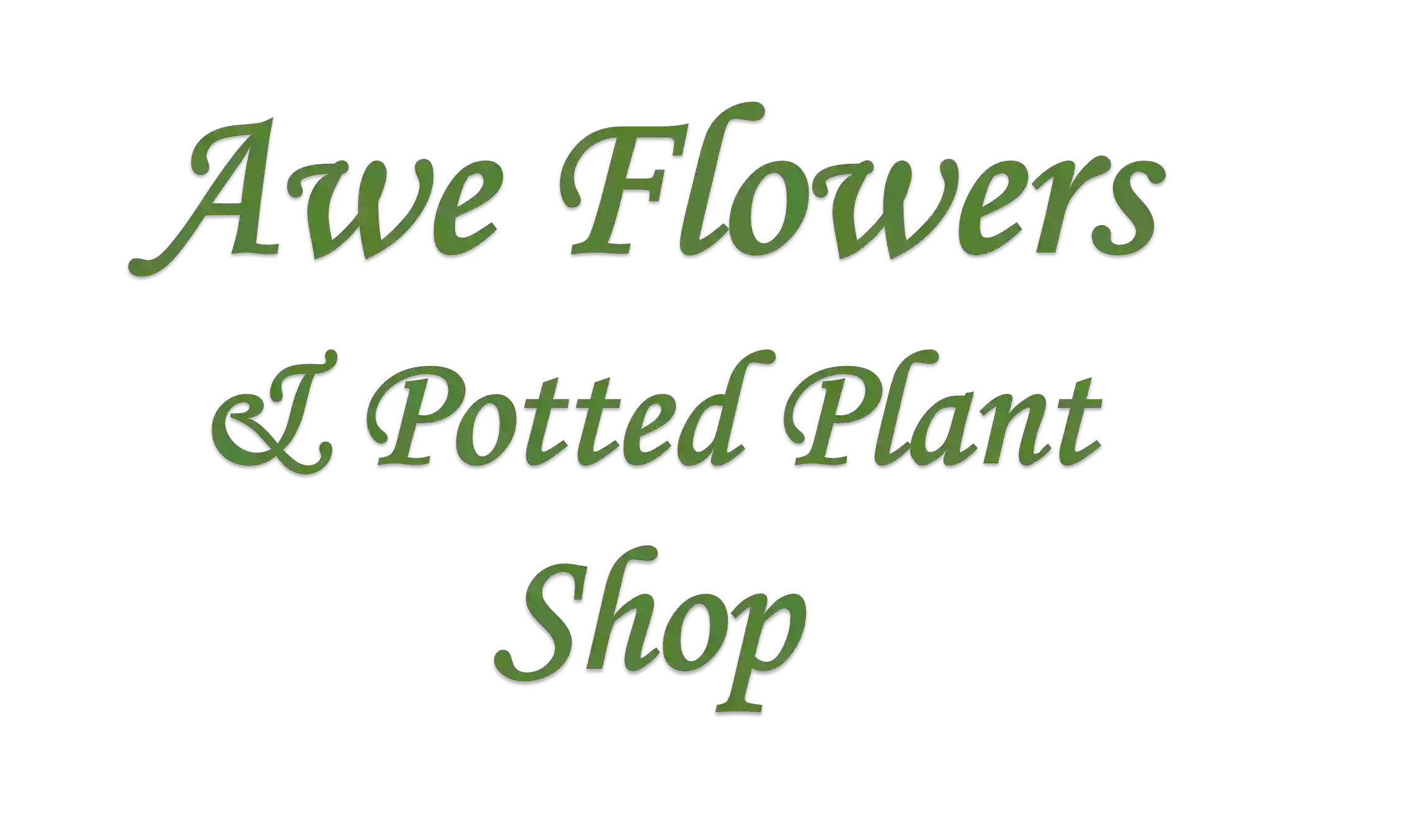 Awe Flowers & Potted Plant Shop