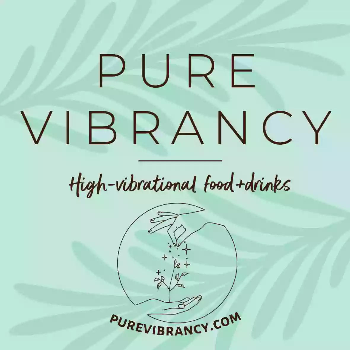 Pure Vibrancy Meal Prep & Catering