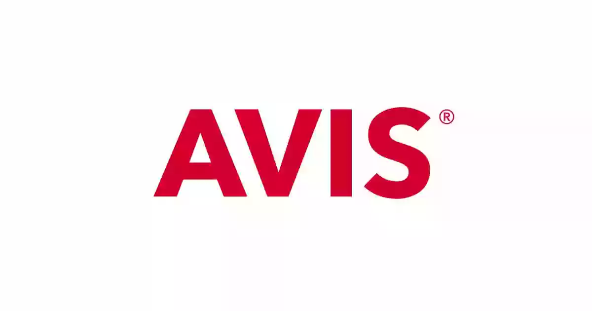 Avis Car Rental