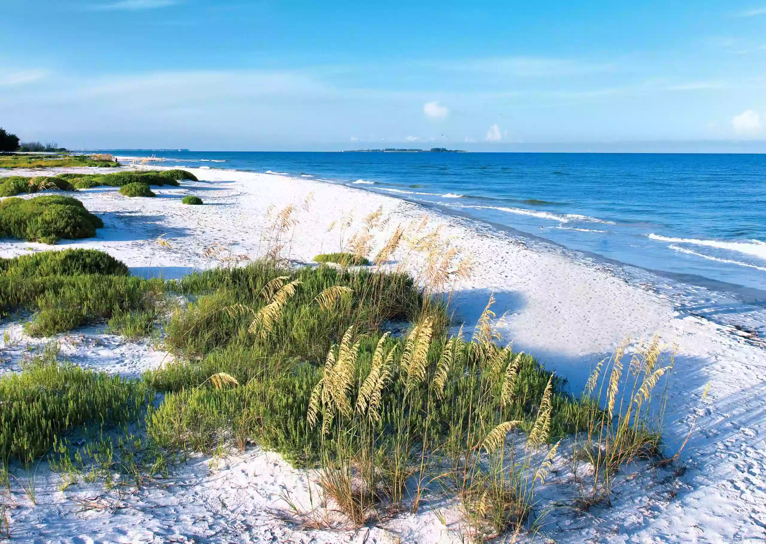 Pinellas County Beach Access Park