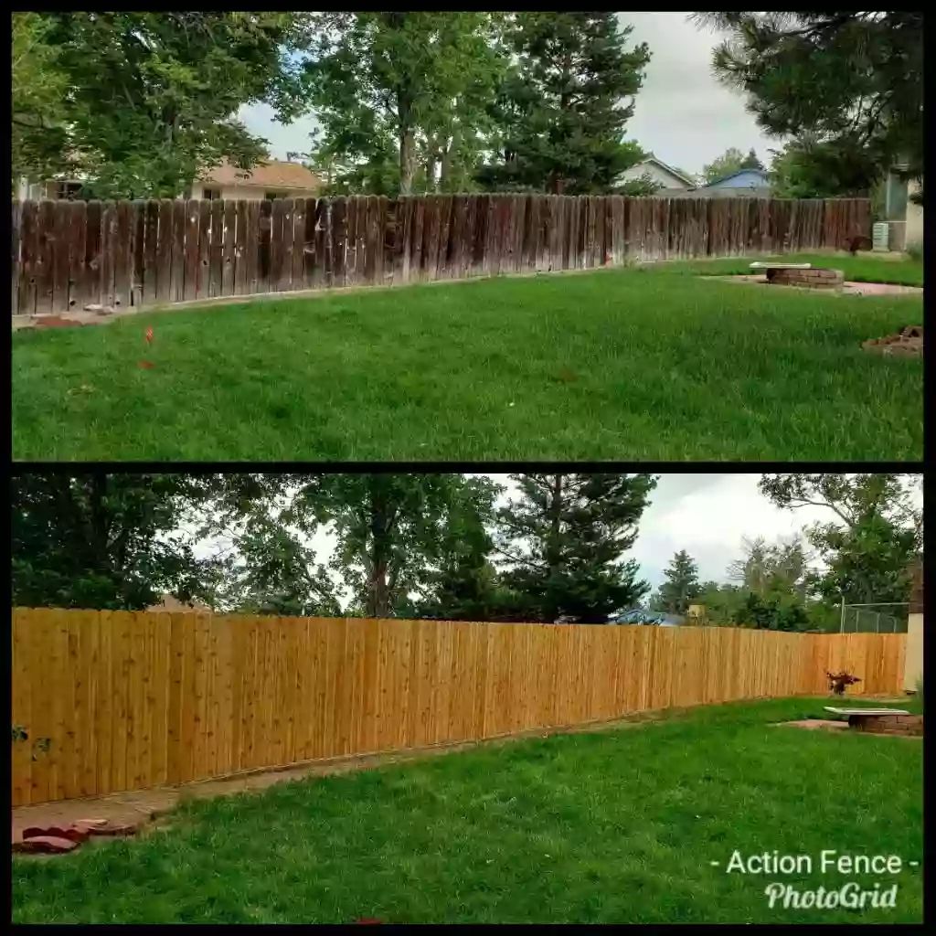 Action Fencing