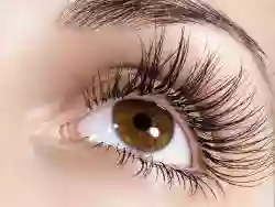 Naples Lash Bar