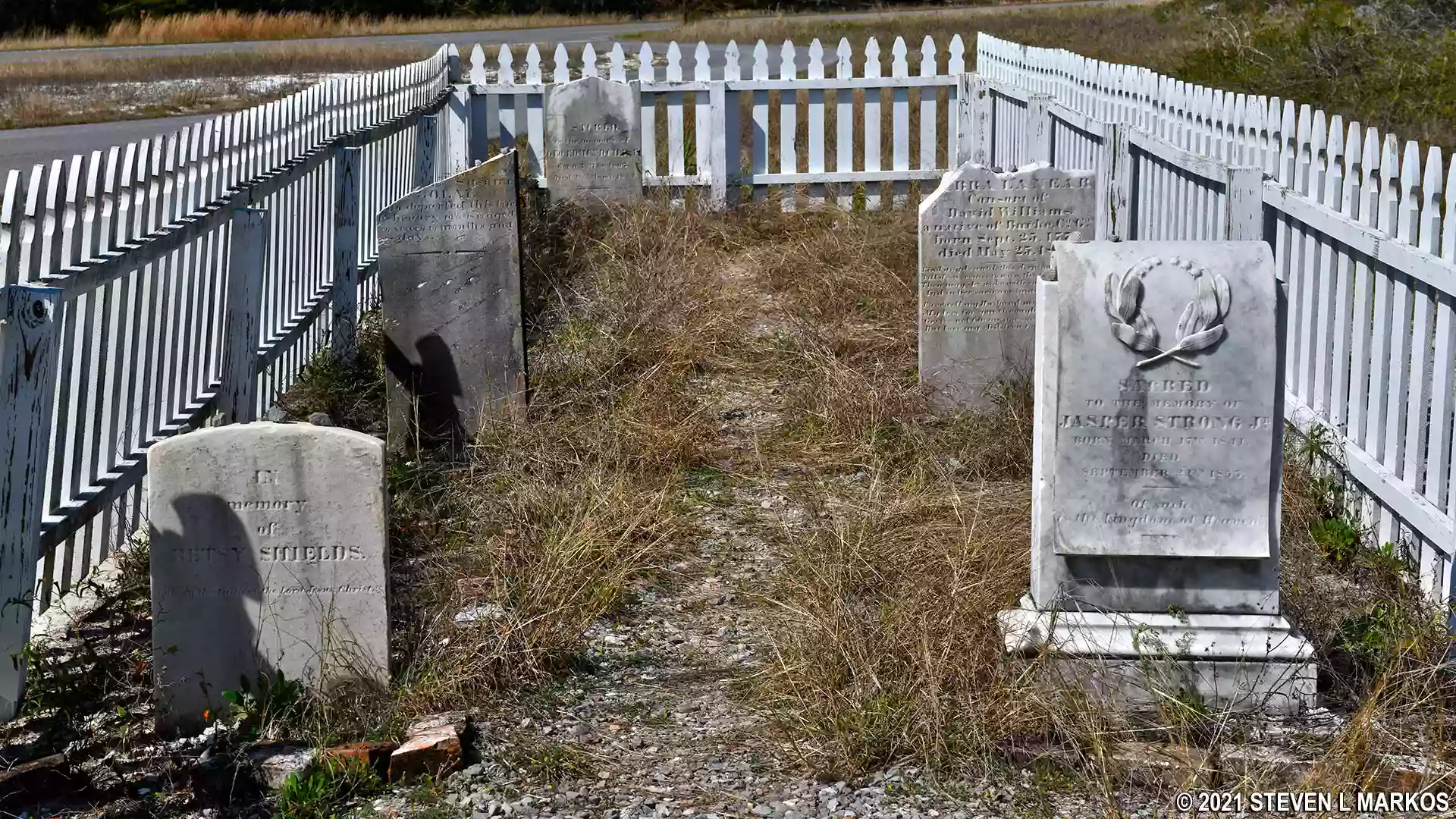 Chasefield Plantation Gravestones