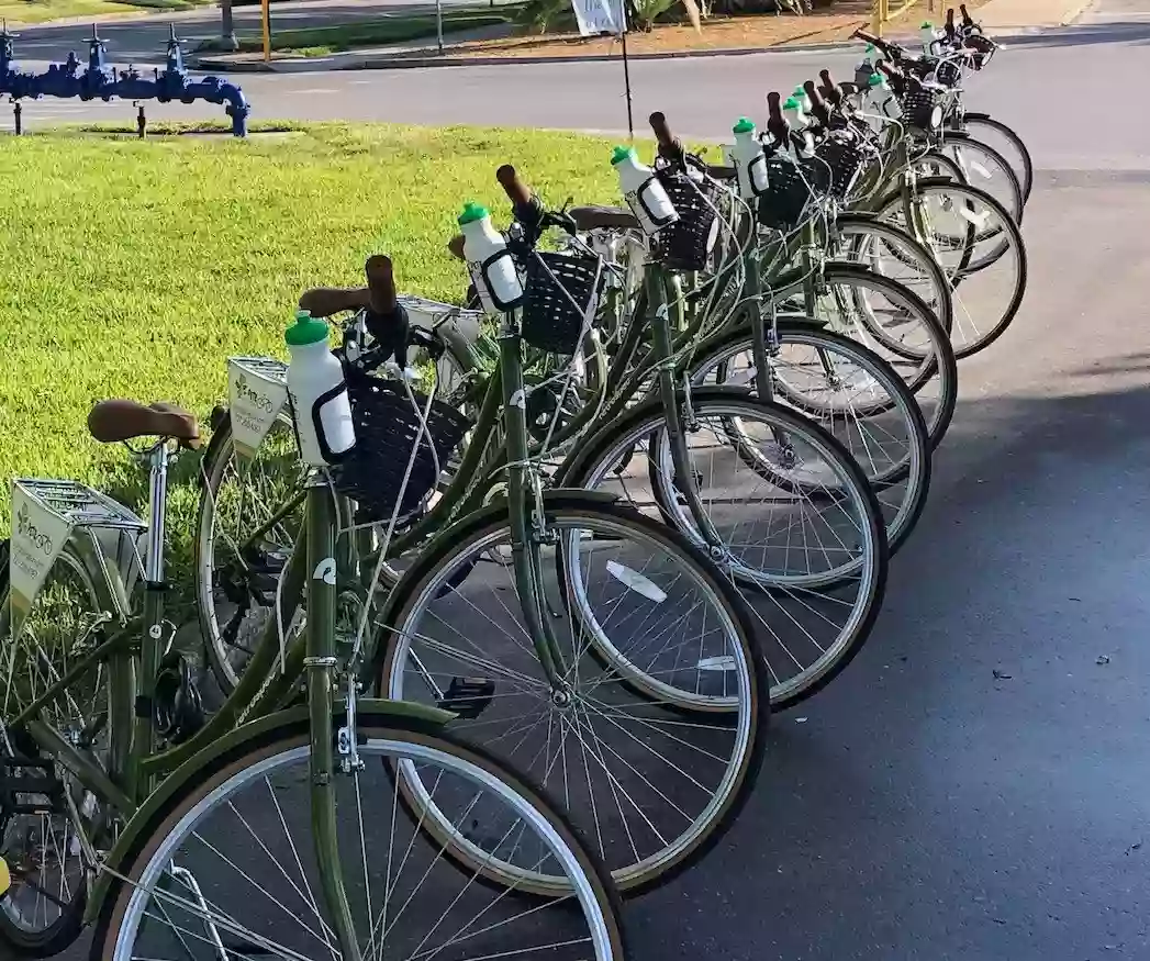 St Pete Bike Rentals