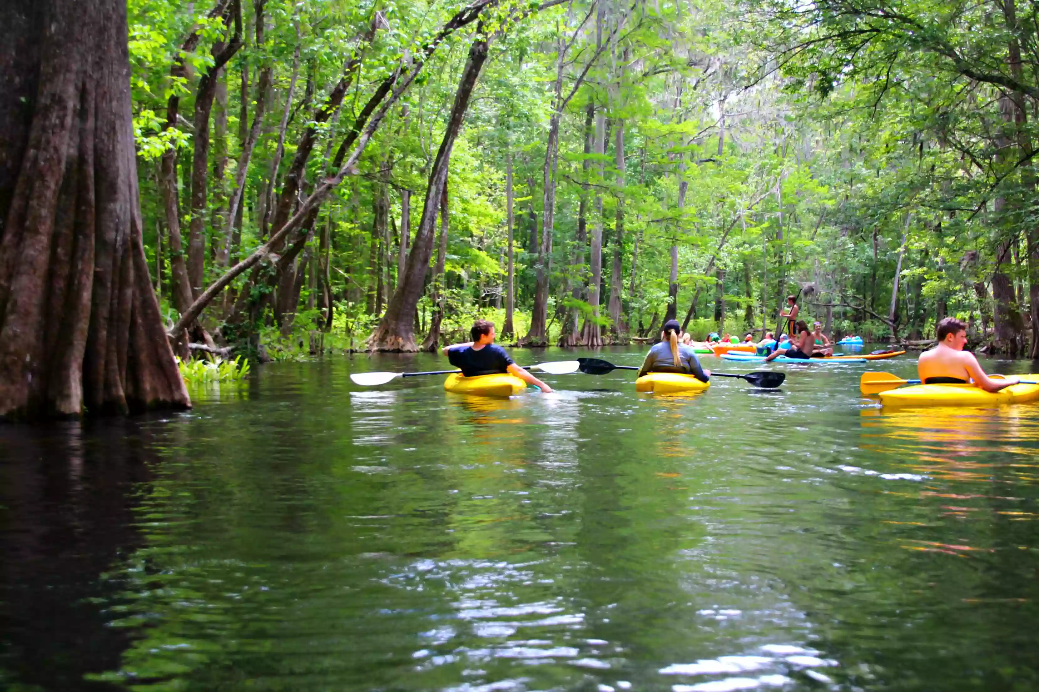 Ichetucknee Springs Last Take Out