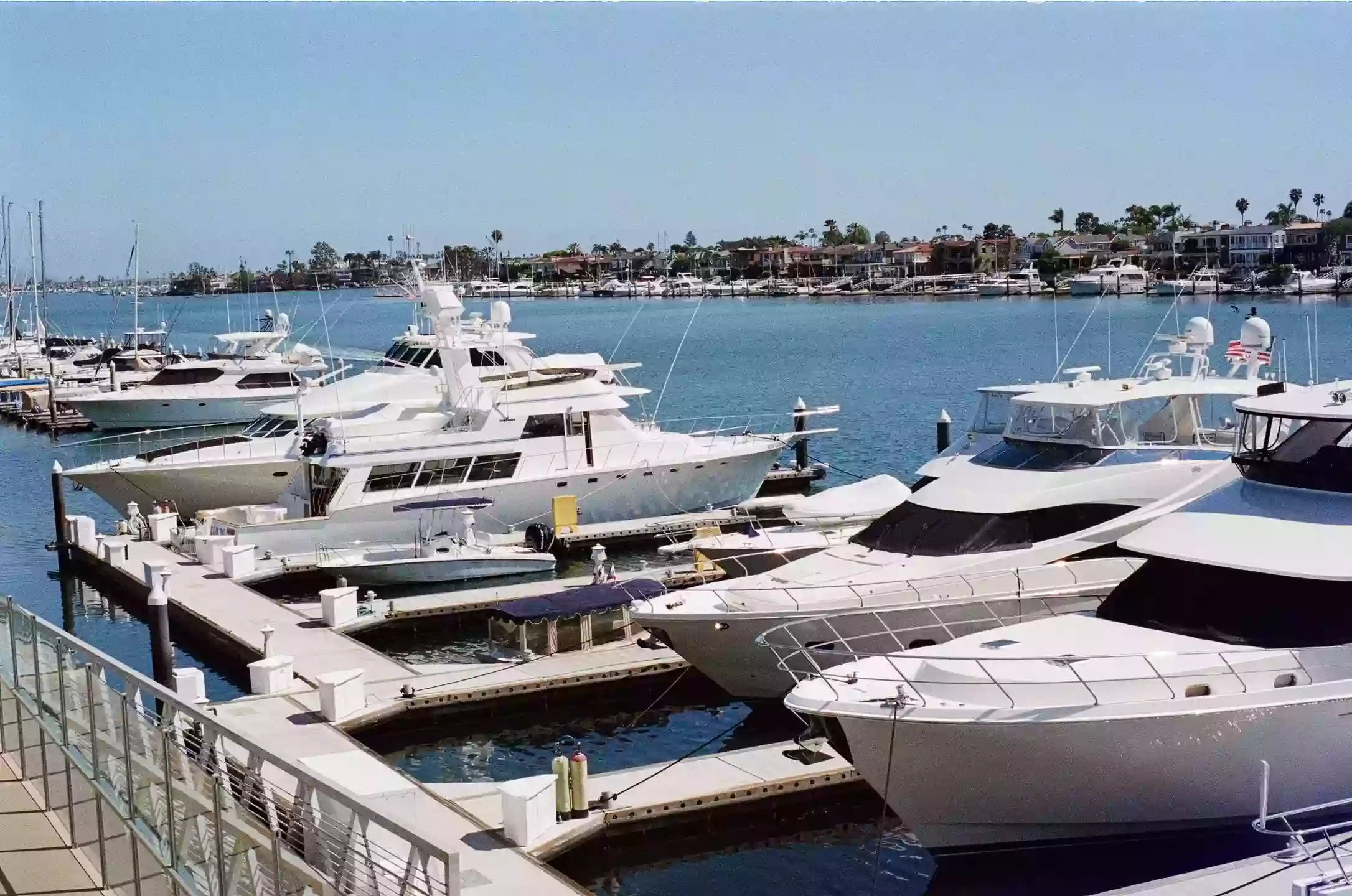 Treasure Island Charters