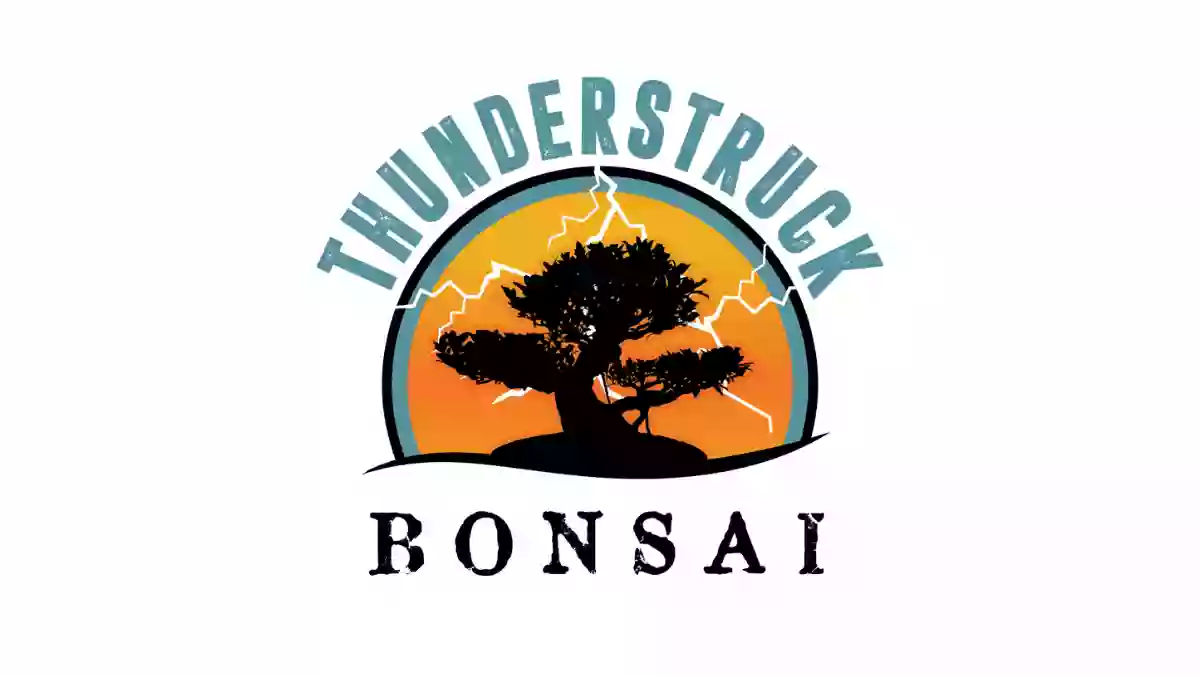 Thunderstruck Bonsai