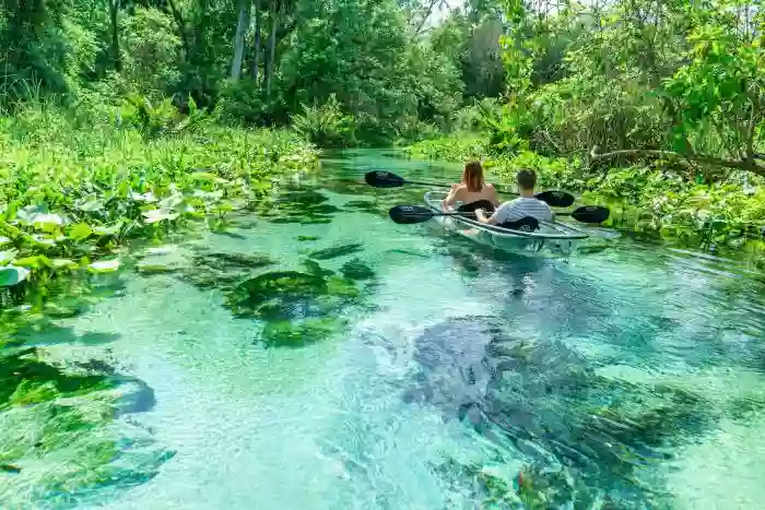 Get Up and Go Kayaking - Pine Island