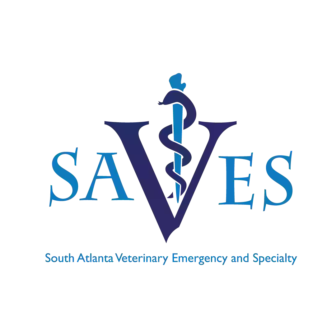 South Atlanta Veterinary Emergency & Specialty, A Thrive Pet Healthcare Partner