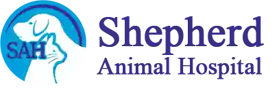 Shepherd Animal hospital