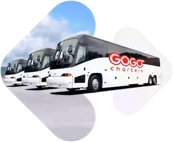 Gogo Charters Augusta