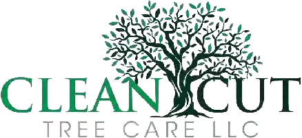 Clean Cut Tree Care LLC