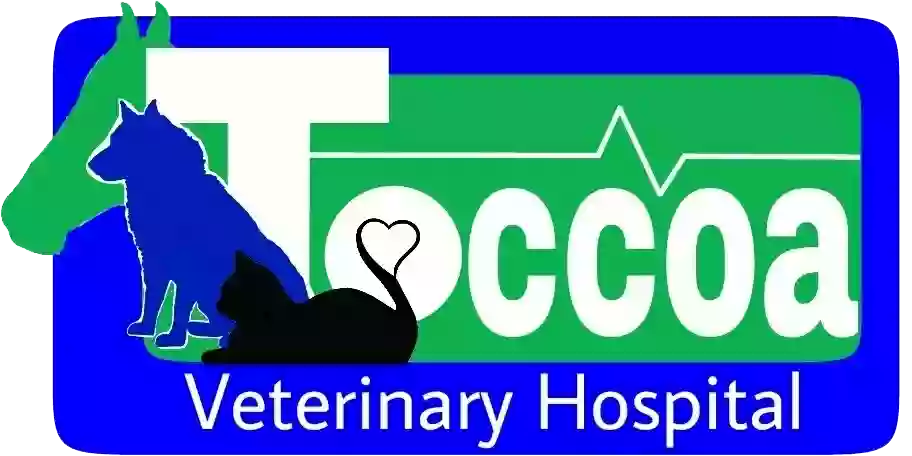 Toccoa Veterinary Hospital