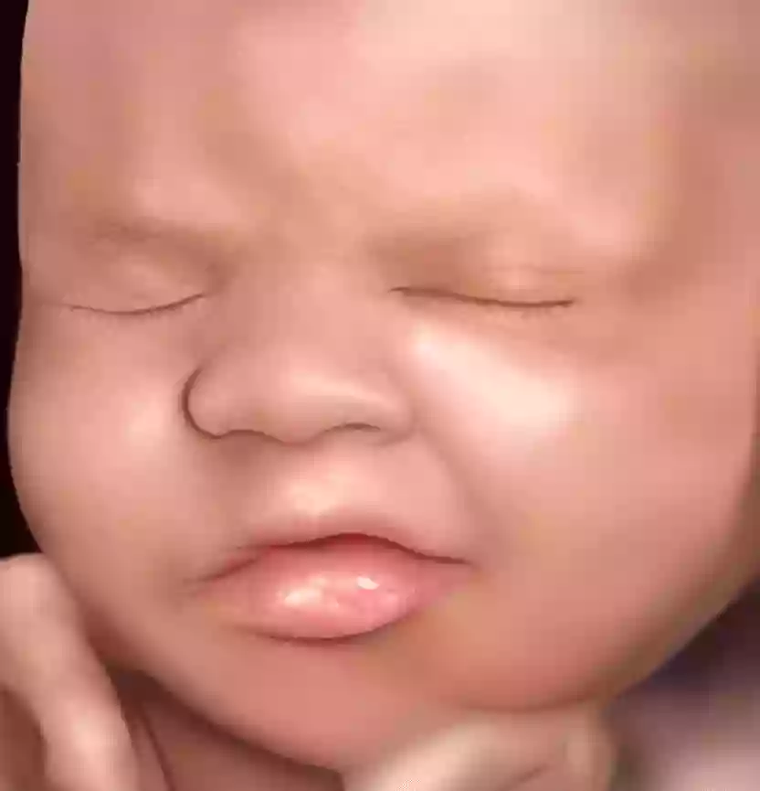 Precious Glimpse Ultrasound