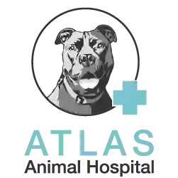 Atlas Animal Hospital