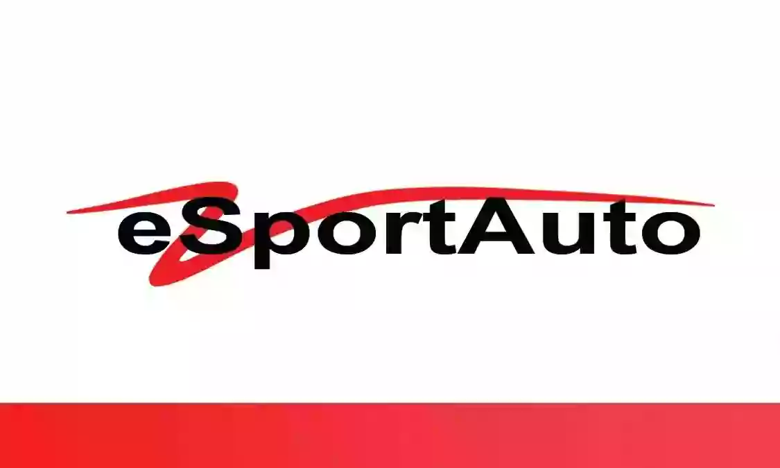 Eurosport Fine Automobiles llc