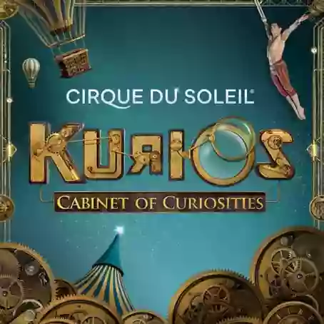 Cirque Du Soleil