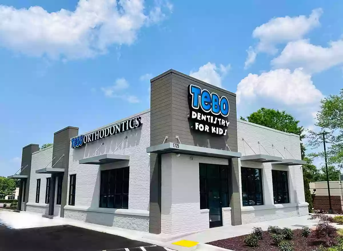 Tebo Dentistry For Kids Cumming