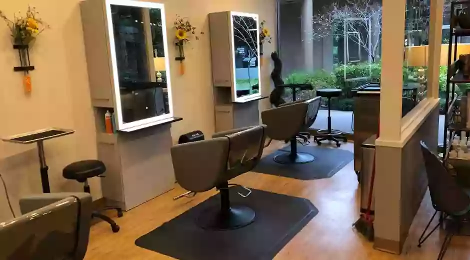 Level 7 Salon