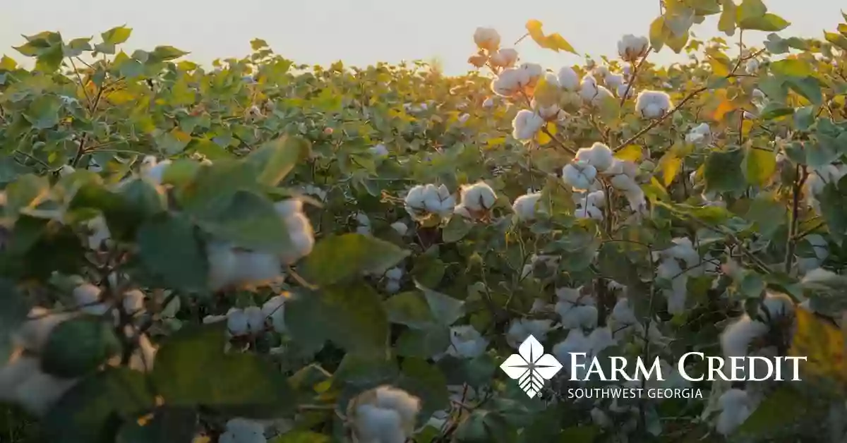 Southwest Georgia Farm Credit