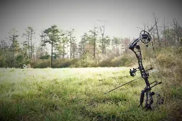 Axion Archery