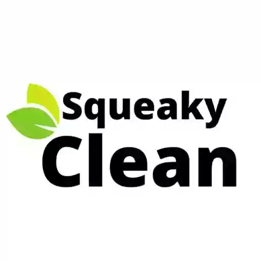 Squeaky Clean Inc